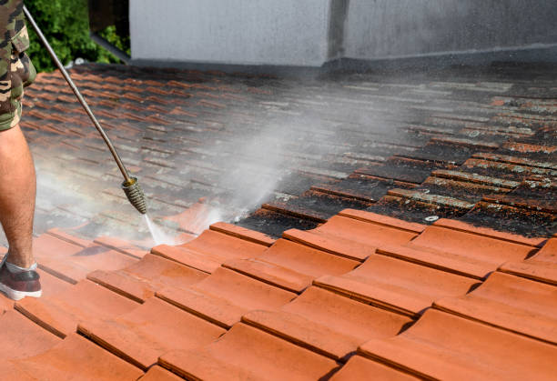Best Pressure Washing Near Me  in Blossom, TX